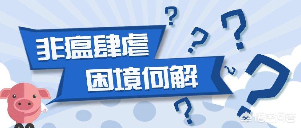 今日科普一下！林业局暂停野猪猎捕,百科词条爱好_2024最新更新