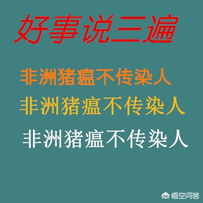 今日科普一下！林业局暂停野猪猎捕,百科词条爱好_2024最新更新