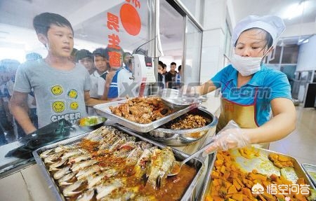 今日科普一下！小学现集体呕吐腹泻,百科词条爱好_2024最新更新