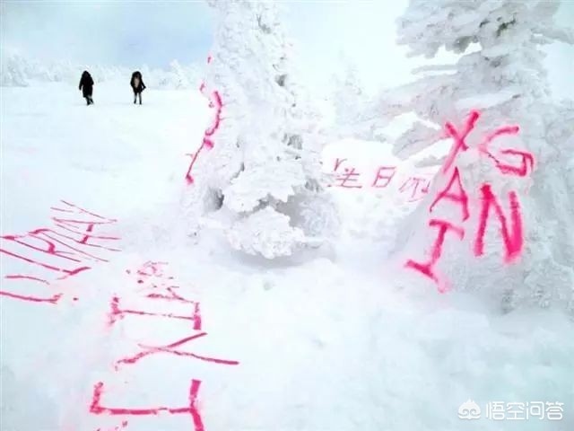 今日科普一下！靖国神社涂鸦案公审,百科词条爱好_2024最新更新