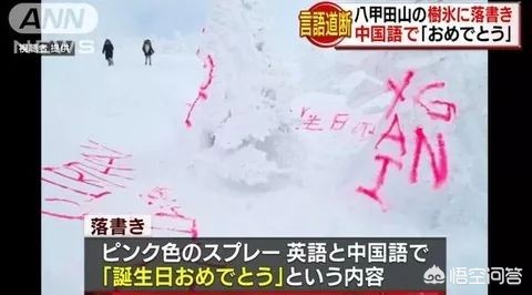 今日科普一下！靖国神社涂鸦案公审,百科词条爱好_2024最新更新