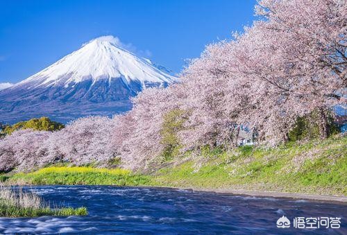 今日科普一下！日本火山爆炸性喷发,百科词条爱好_2024最新更新