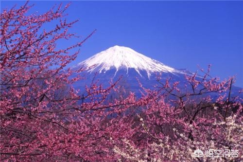 今日科普一下！日本火山爆炸性喷发,百科词条爱好_2024最新更新