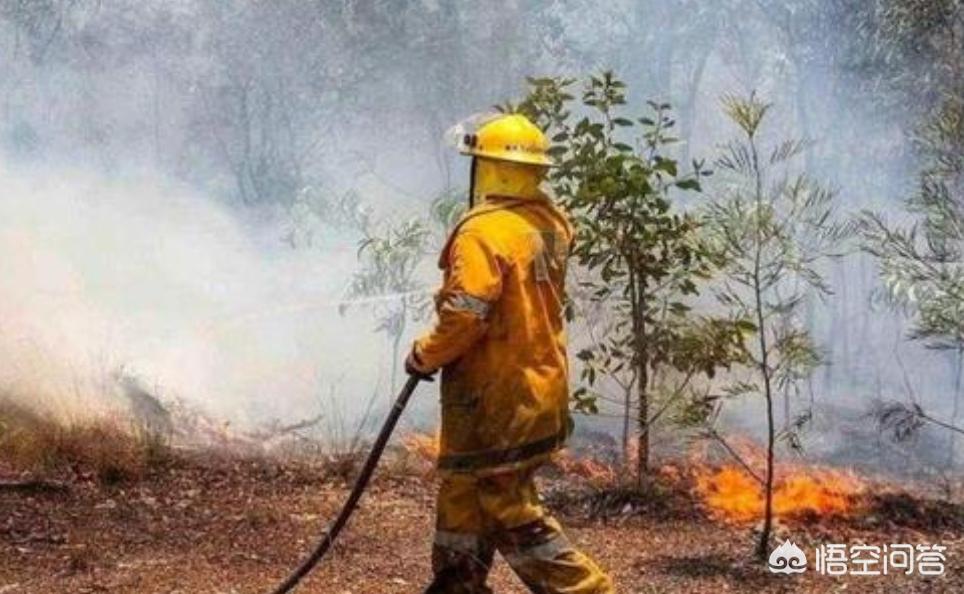 今日科普一下！日本火山爆炸性喷发,百科词条爱好_2024最新更新