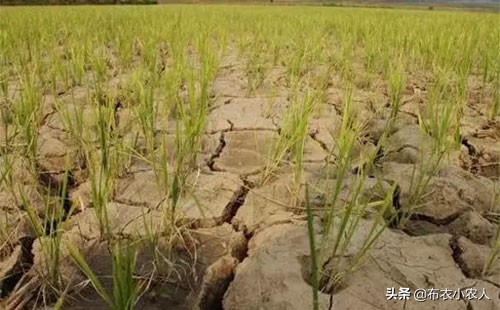 今日科普一下！较强冷空气明起登场,百科词条爱好_2024最新更新