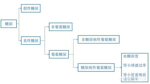 今日科普一下！2岁男孩确诊糖尿病,百科词条爱好_2024最新更新