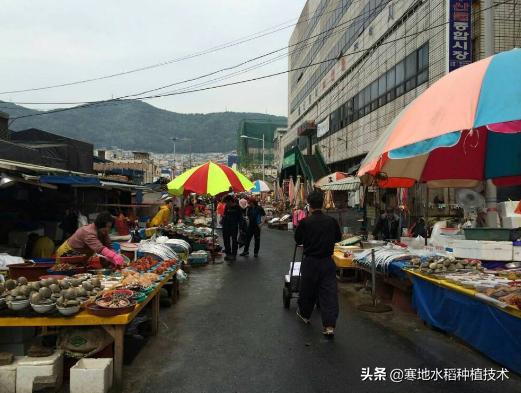 今日科普一下！韩国进入超老龄社会,百科词条爱好_2024最新更新