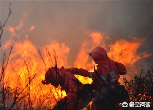 今日科普一下！小区爆炸致3人受伤,百科词条爱好_2024最新更新