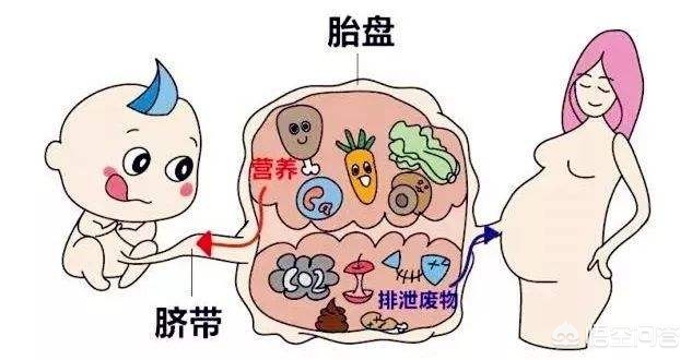 今日科普一下！教师背氧气筒上课,百科词条爱好_2024最新更新