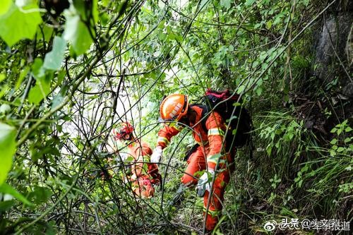 今日科普一下！起火客机无中国乘客,百科词条爱好_2024最新更新