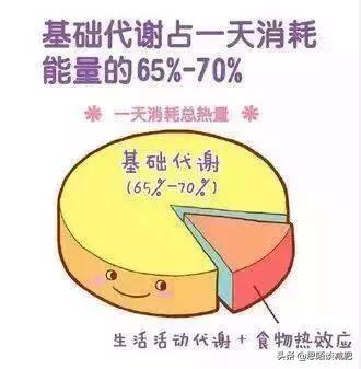 今日科普一下！被女孩嫌胖减肥20斤,百科词条爱好_2024最新更新