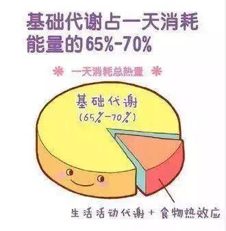 今日科普一下！减肥为什么会反弹,百科词条爱好_2024最新更新