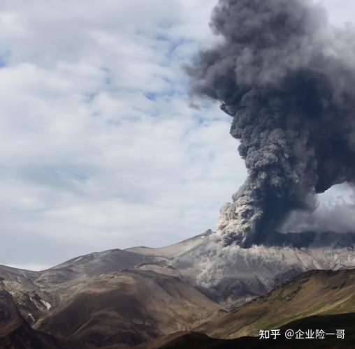 今日科普一下！西藏地震407人获救,百科词条爱好_2024最新更新