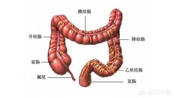 今日科普一下！一家5人患同一种癌,百科词条爱好_2024最新更新