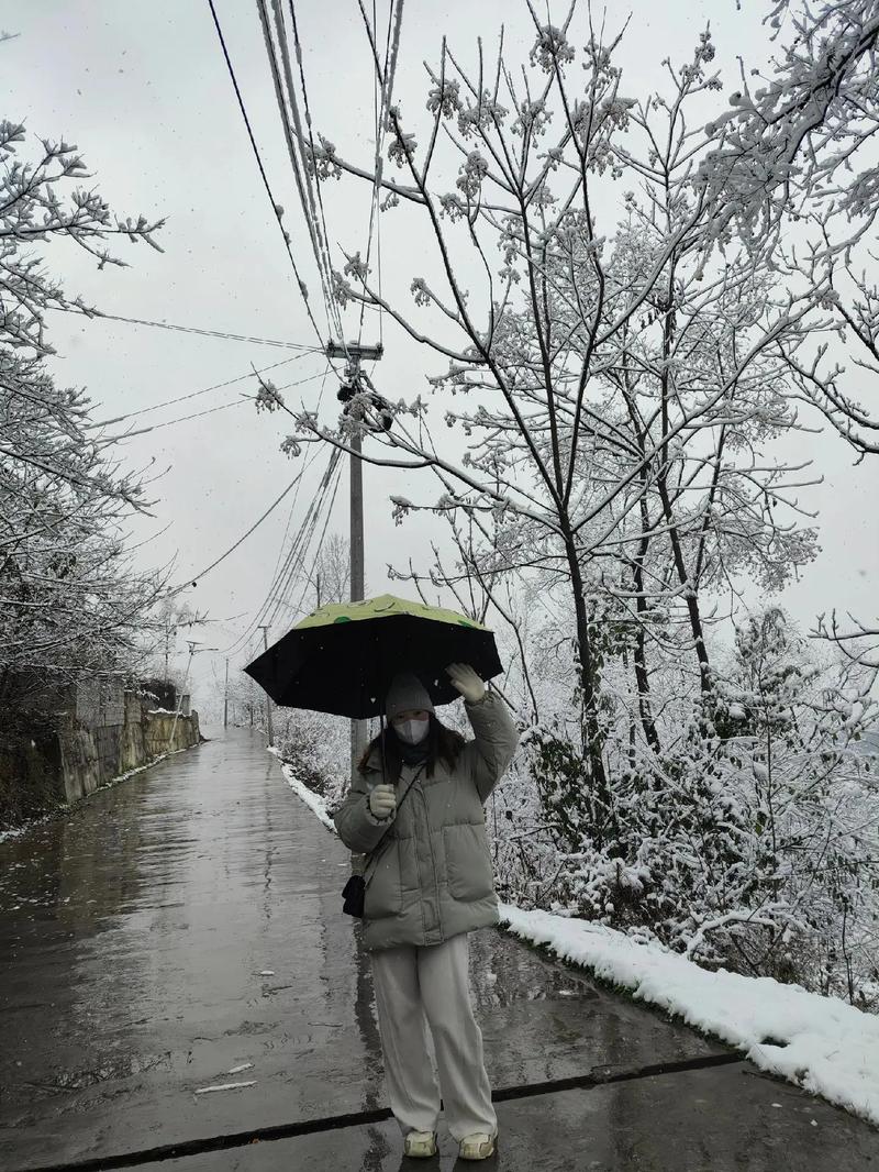 今日科普一下！郑州下雪,百科词条爱好_2024最新更新