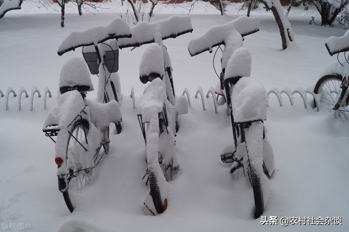 今日科普一下！河南积雪深度超20cm,百科词条爱好_2024最新更新