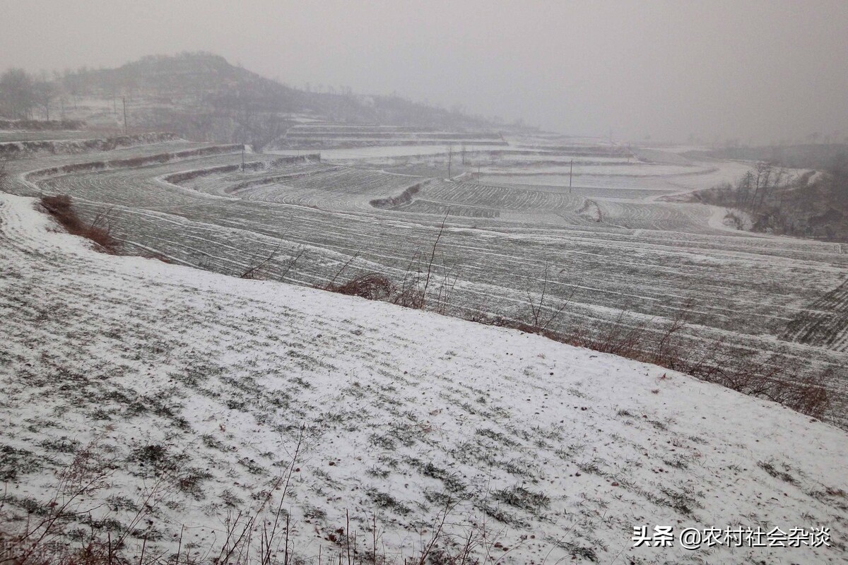 今日科普一下！河南积雪深度超20cm,百科词条爱好_2024最新更新