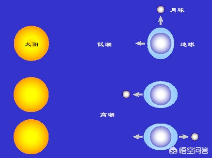 今日科普一下！小行星或与地球相撞,百科词条爱好_2024最新更新